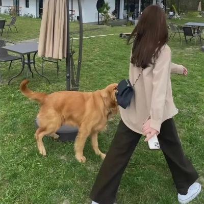 逆转管弦乐团